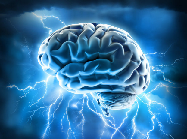 生物電對(duì)細(xì)胞的作用.png