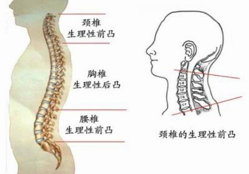 千萬別把“富貴包”當(dāng)成富貴